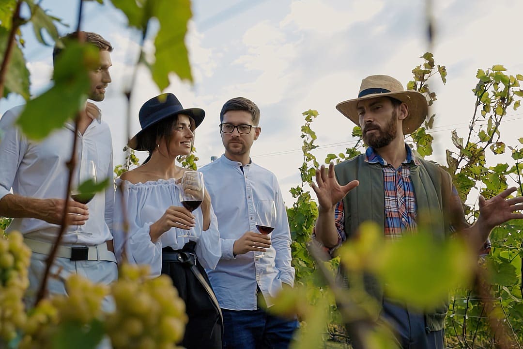 A group of friends enjoying an outdoor wine tasting in a sunny vineyard.