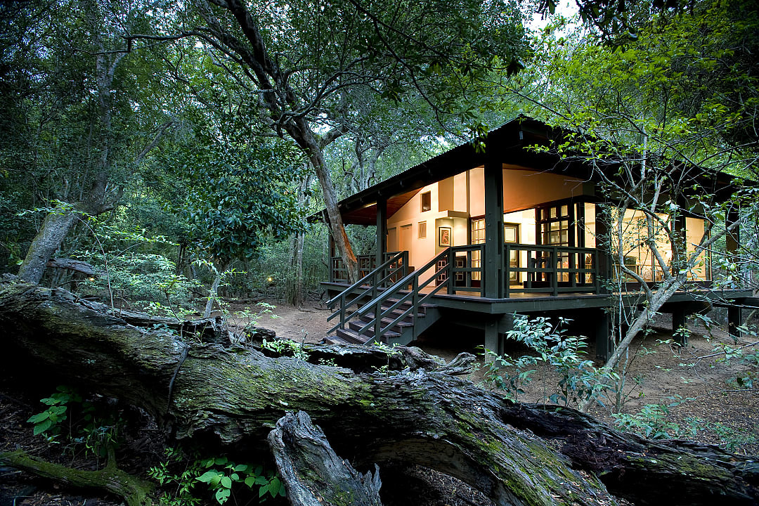  A luxury glass-walled lodge in the forest, photo courtesy of Phinda Forest Lodge, South Africa.