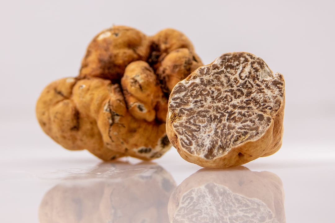 Whole and cut bianchetto truffles showing marbled interior