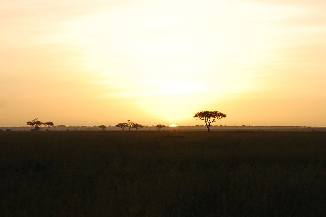 Sunset over the Serengeti plains.