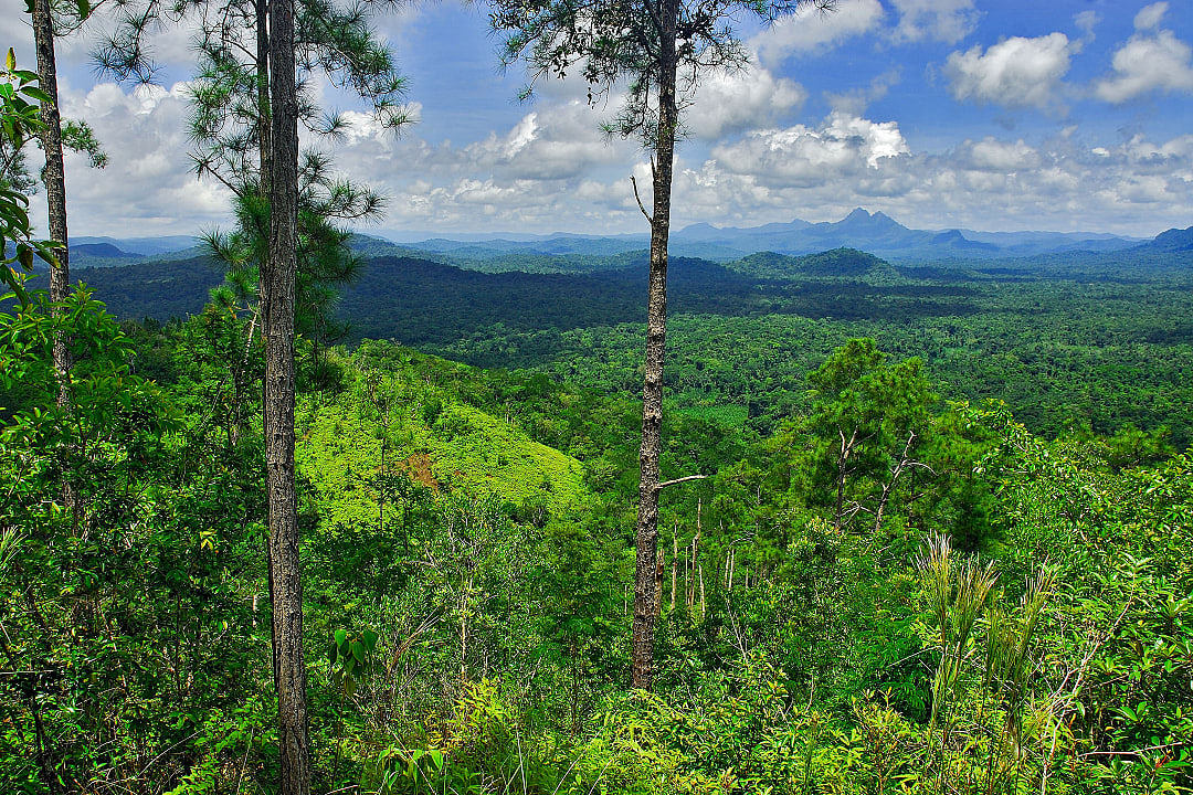 Cockscomb Basin Wildlife Sanctuary and Jaguar Preserve in Belize