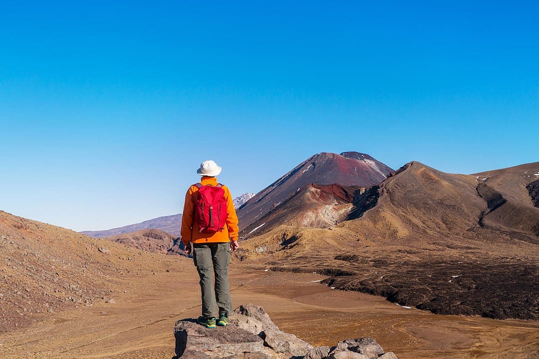 Person admiring the view at the Tongarino Alpine Crossing, New Zealand. 