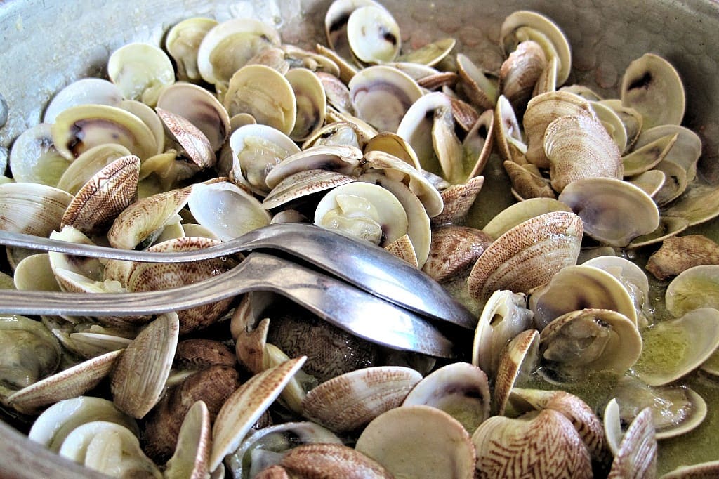 Steamed clams