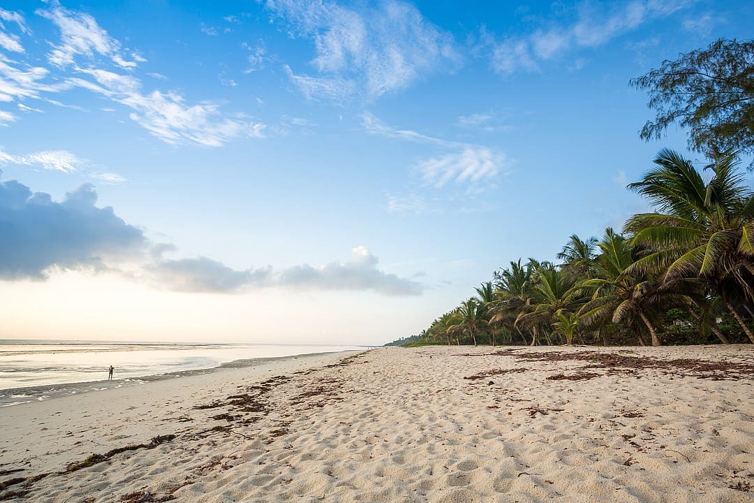 Tranquil sandy beach with palm trees and gentle waves under a partly cloudy sky.