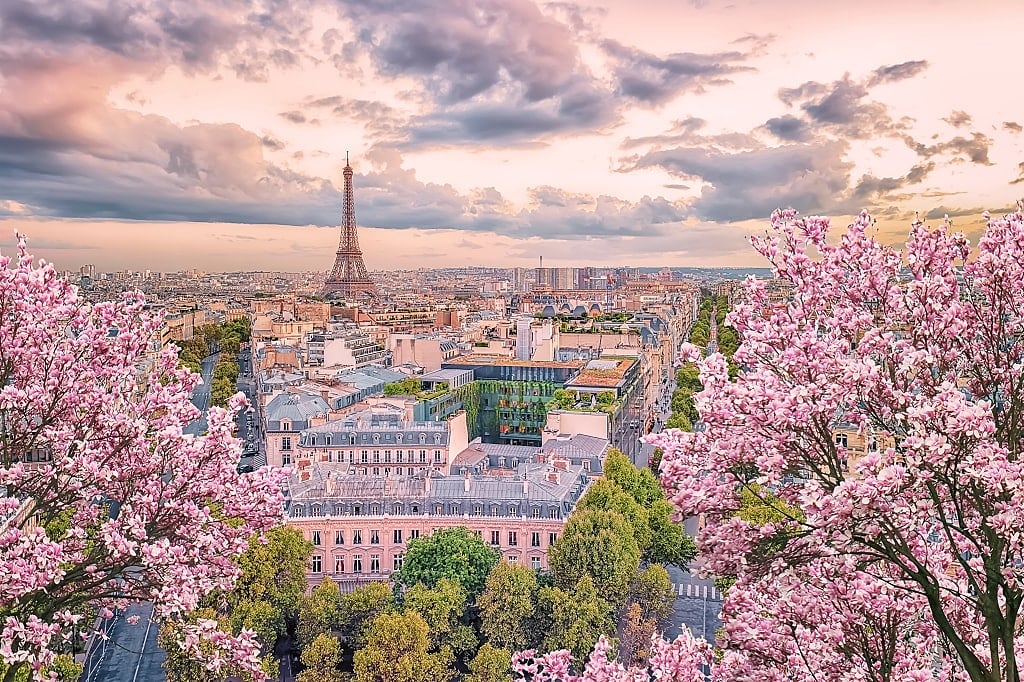 Paris in spring with blooming cherry blossoms