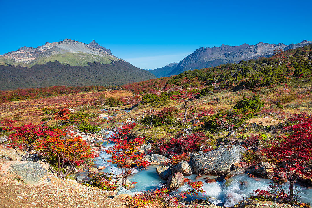 Tierra del Fuego National Park, Argentina