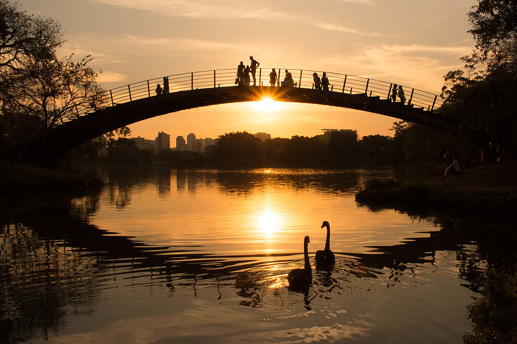 Sunset at Ibirapuera Park in São Paulo, Brazil.