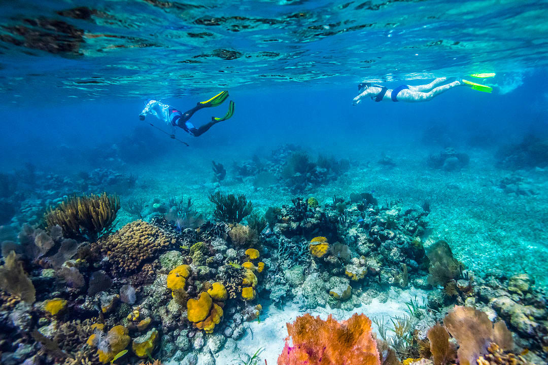 Couple enjoying world-class snorkeling among coral in Belize.