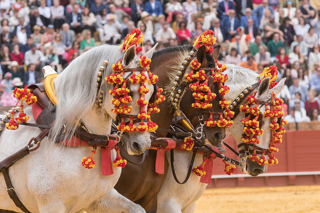 Festival in Seville, Spain.
