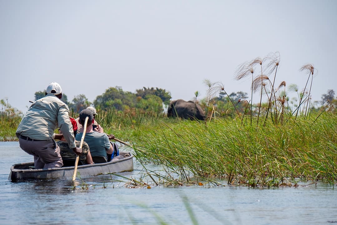 Private safari on a 'mokoro' on the Okavango Delta.