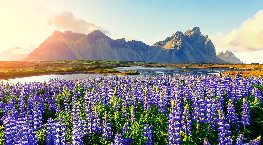 View of the Stokksnes mountains on Vestrahorn Cape, Iceland