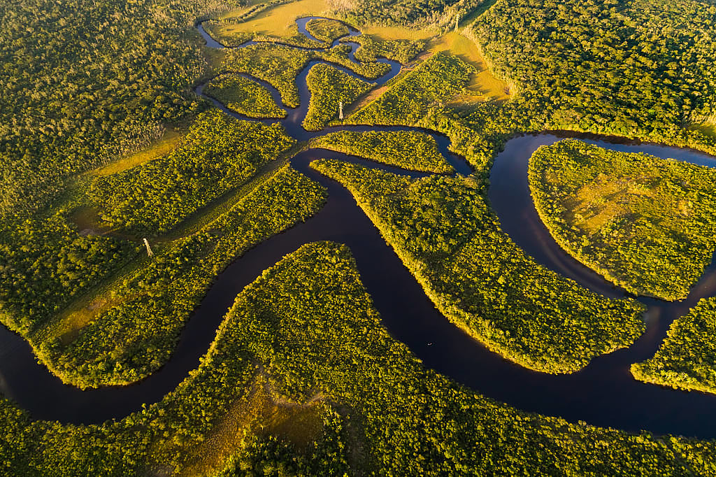 Aerial View of Amazon Rainforest in Brazil