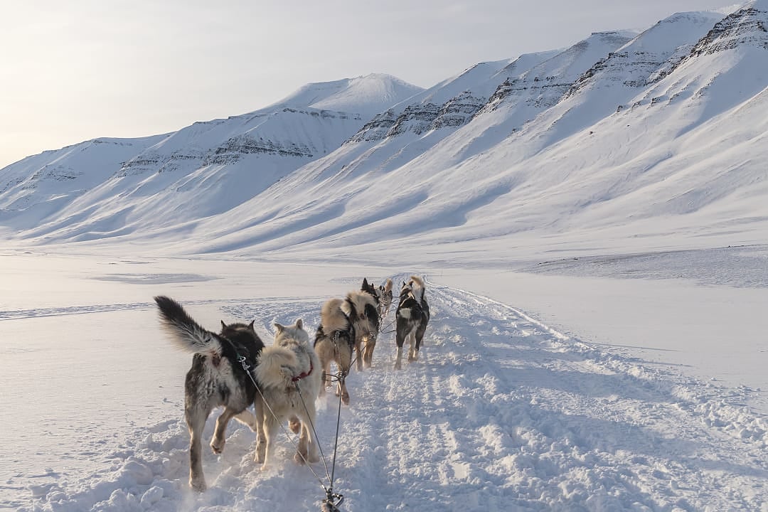 Dog-sledding expedition in Svalbard, Norway.