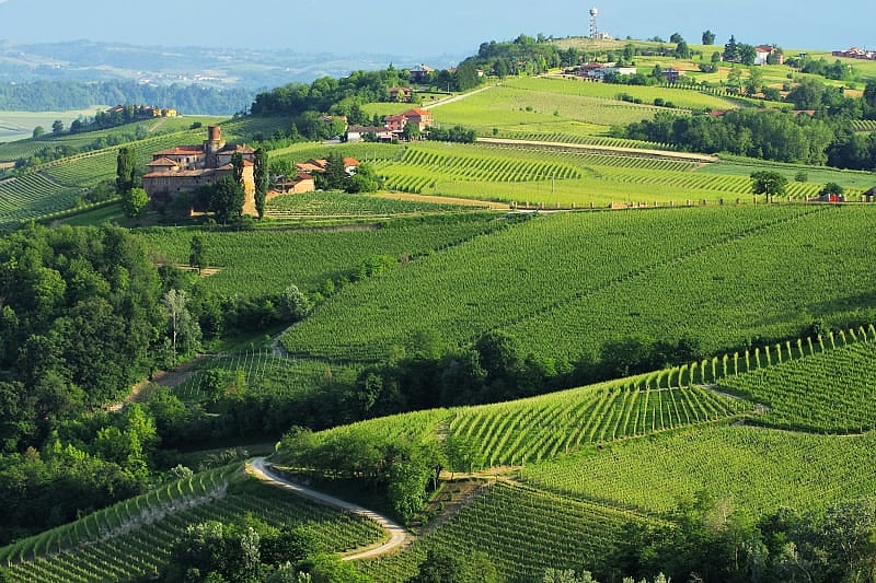 Vineyards around Castello della Volta on the hills outside Barolo in the Langhe wine region of Piedmont, Italy.