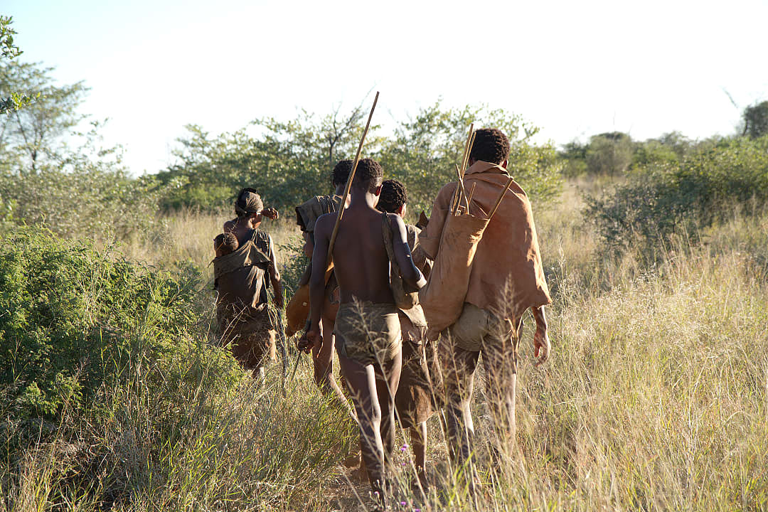 A tribe of San bushmen walking together.
