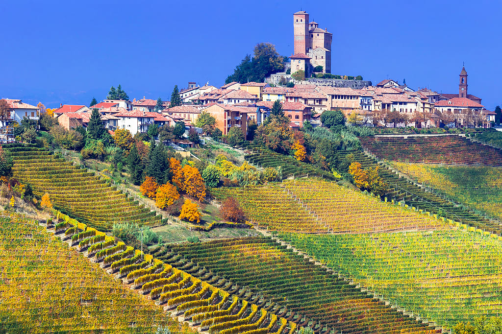 Vineyards of Serralunga-d-Alba in Piemonte.