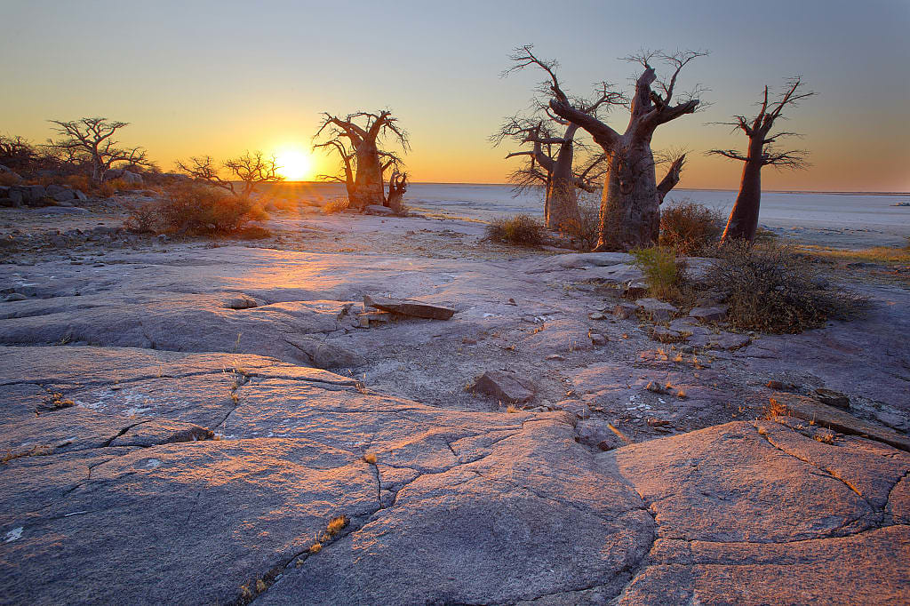 Kubu island with baobab trees in Makgadikgadi, Botswana