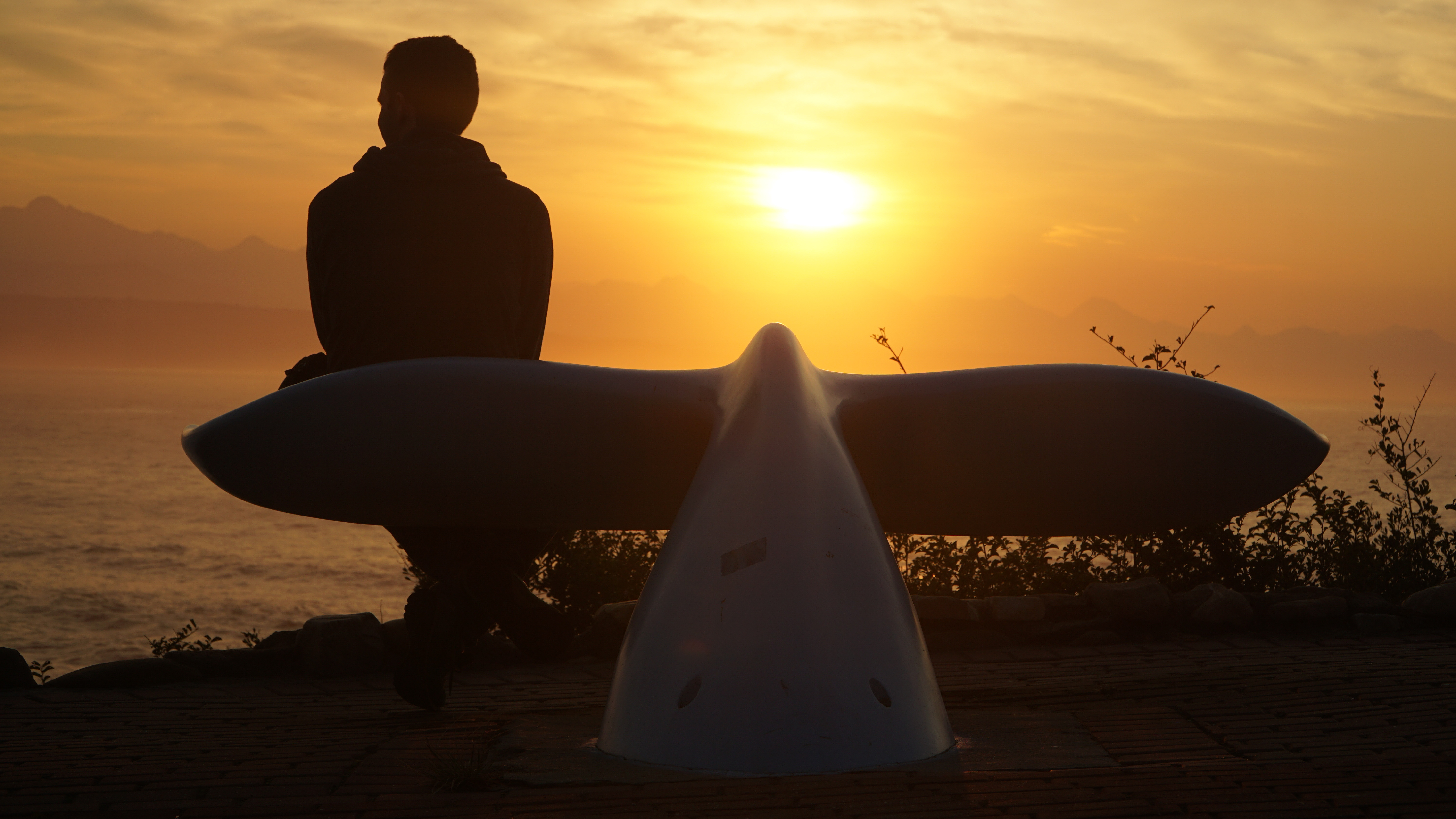 Person sitting on a whale tale shaped bench in Plettenberg Bay, South Africa