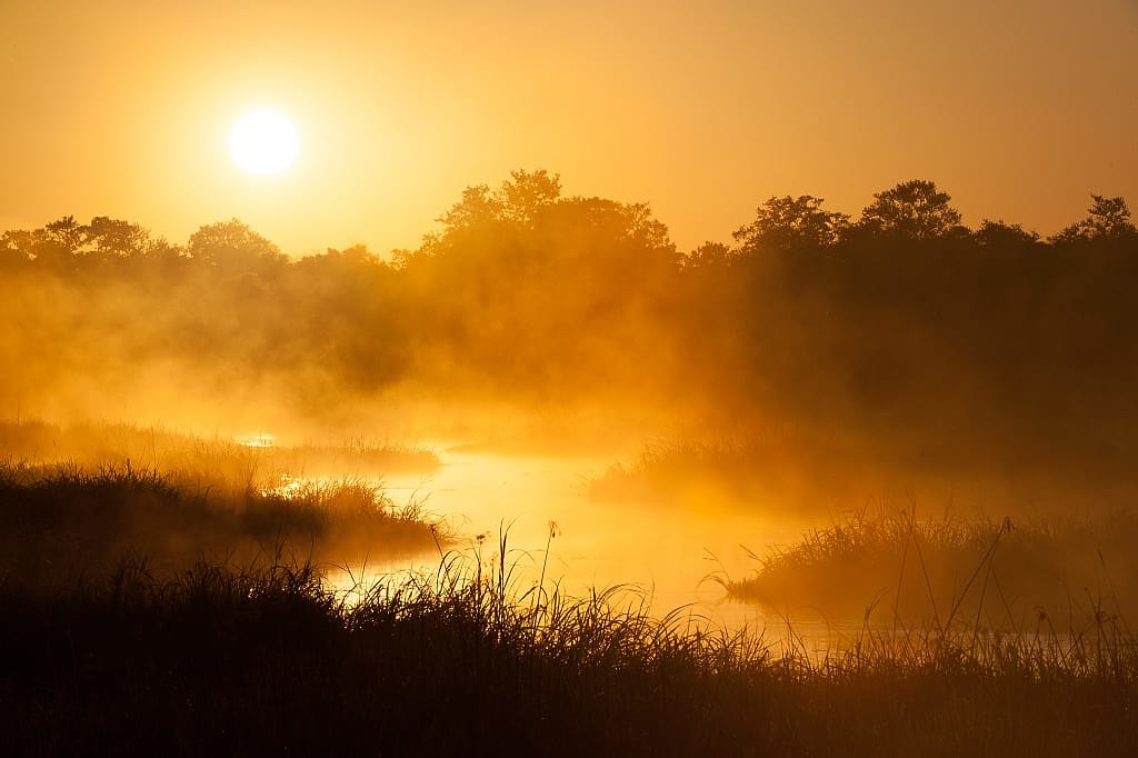 Misty sunrise in the Okavango Delta, Botswana