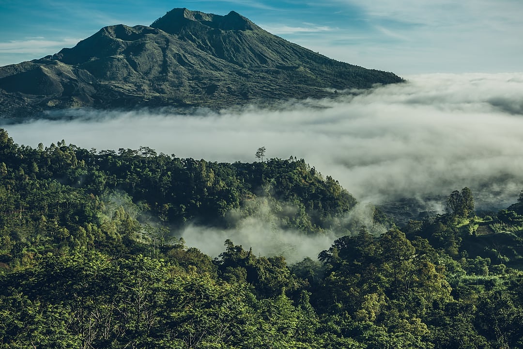 Morning mist drapes lush forest beneath Mount Batur and Mount Agung.