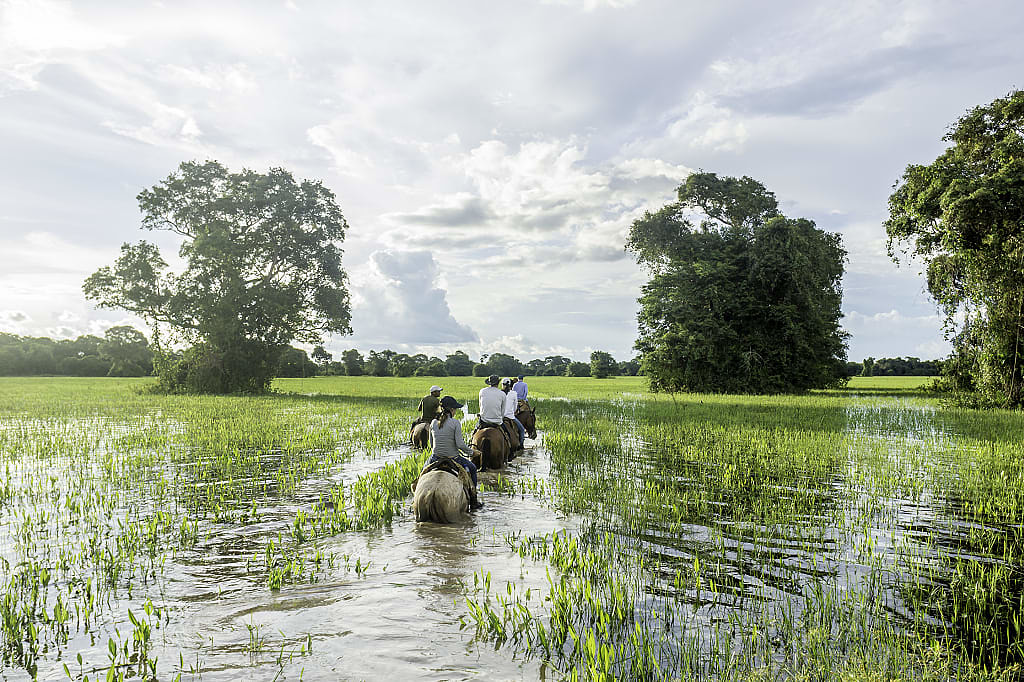 Family on a horseback ride in Pantanal, Brazil.