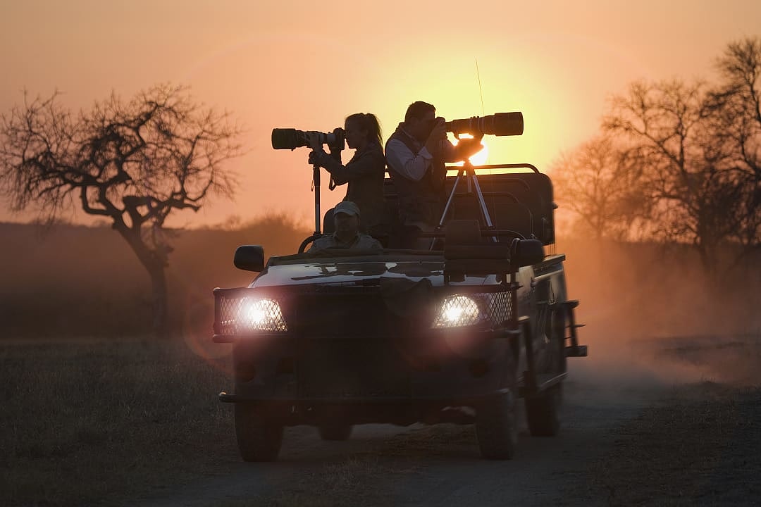 Wildlife photographers on safari vehicle capturing images at sunrise in the African bush