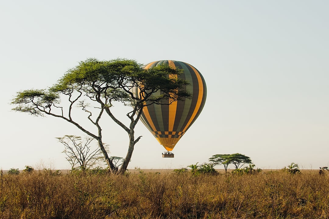 Hot air balloon ride over the Serengeti in Tanzania.