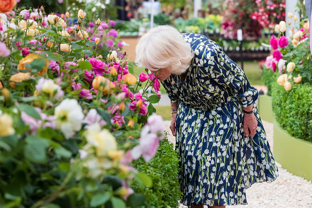 Queen Camilla visits Chelsea Flower Show 2023.  Photo courtesy of RHS / Oliver Dixon