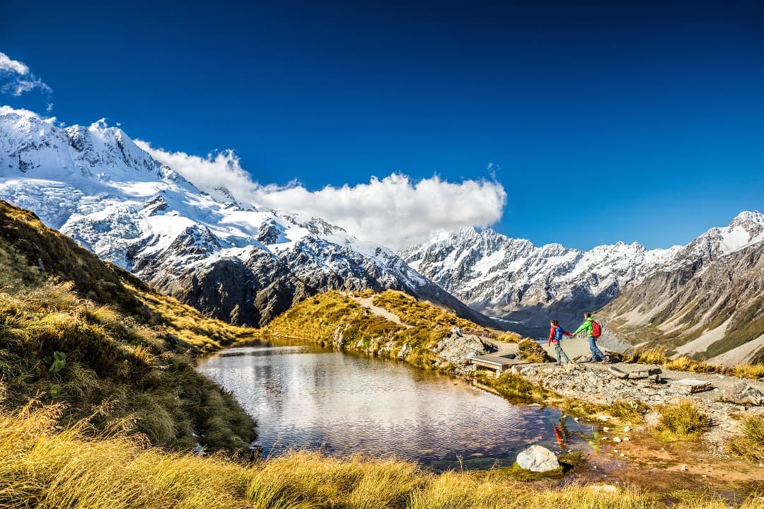 Hikers celebrate atop Sealy Tarns, surrounded by alpine majesty.