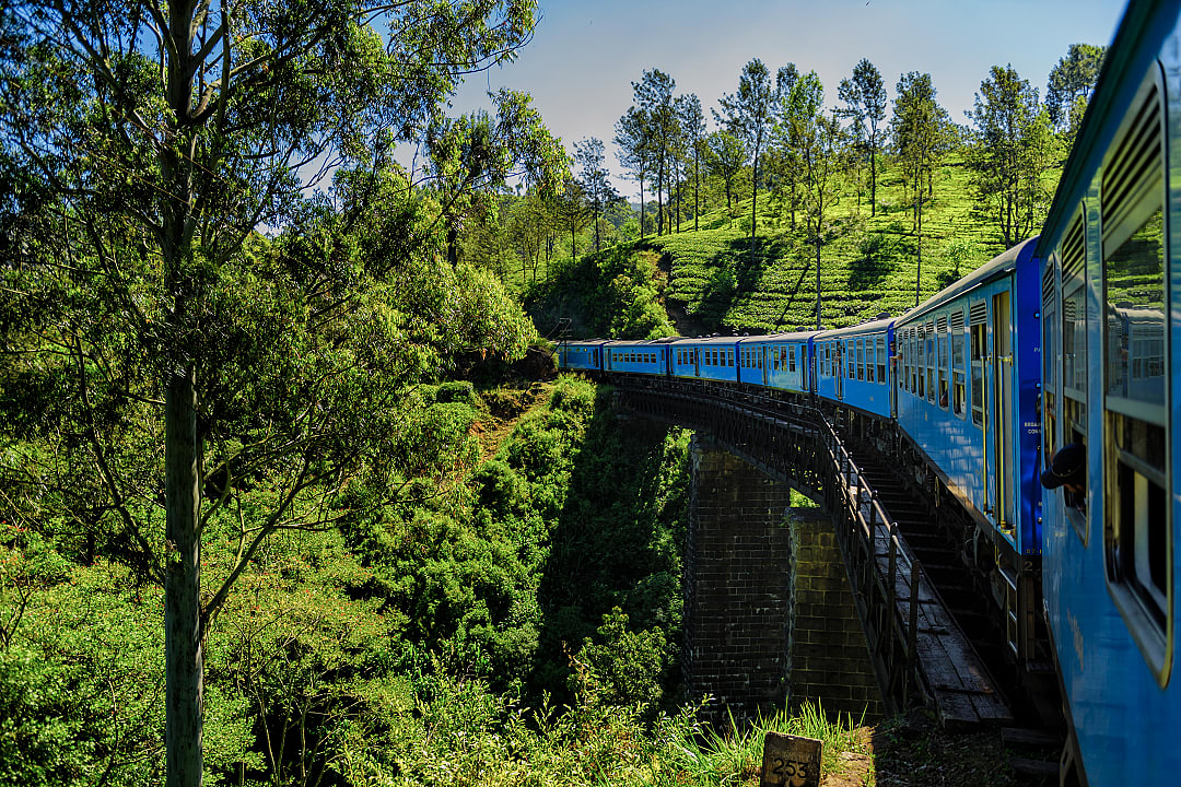 Train passing through the tea plantations in Haputale, Sri Lanka.
