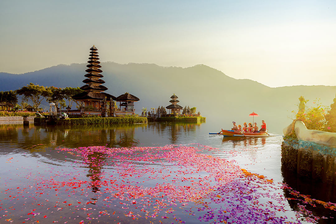 Temple reflects on serene lake as petals float in morning light.