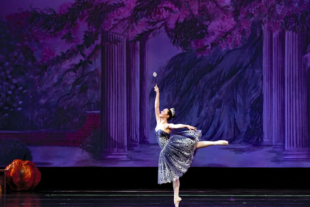 The Dutch National Ballet Gala in Amsterdam