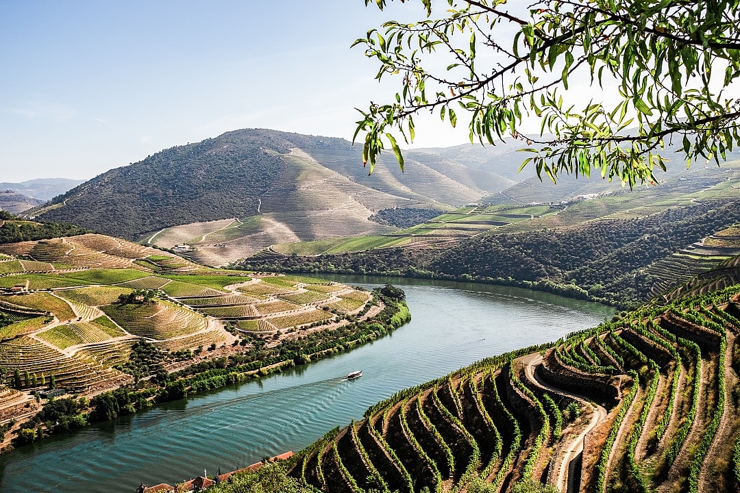 Douro Valley in Portugal.