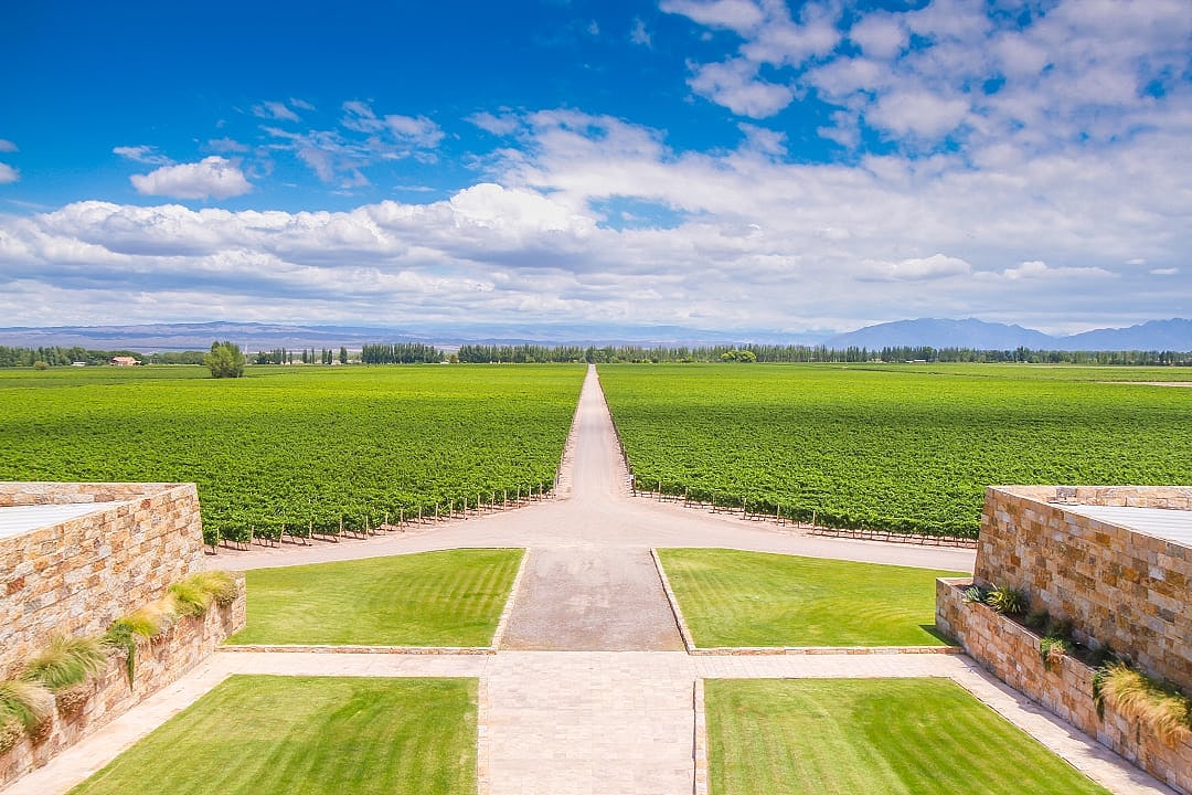 Winery and vineyards in Mendoza, Argentina