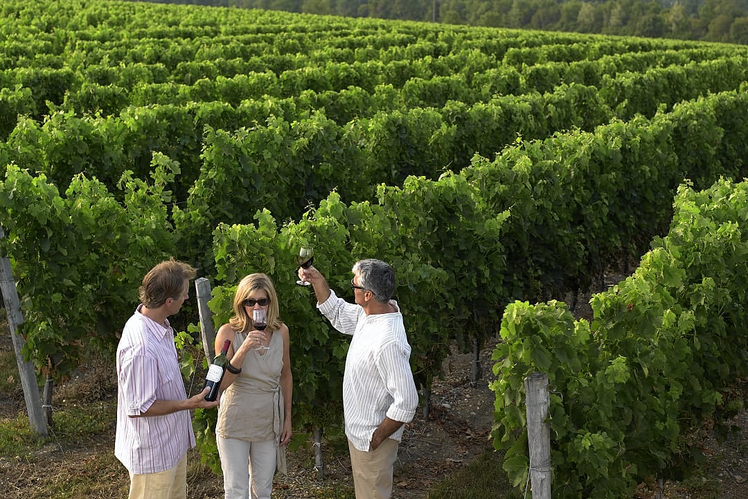 Couple having vineyard tour and wine tasting in Bordeaux, France