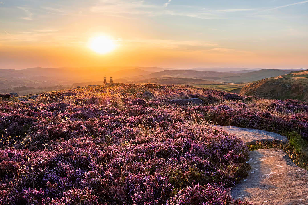 Couple hiking at sunset with blooming heather in the Peak District of England