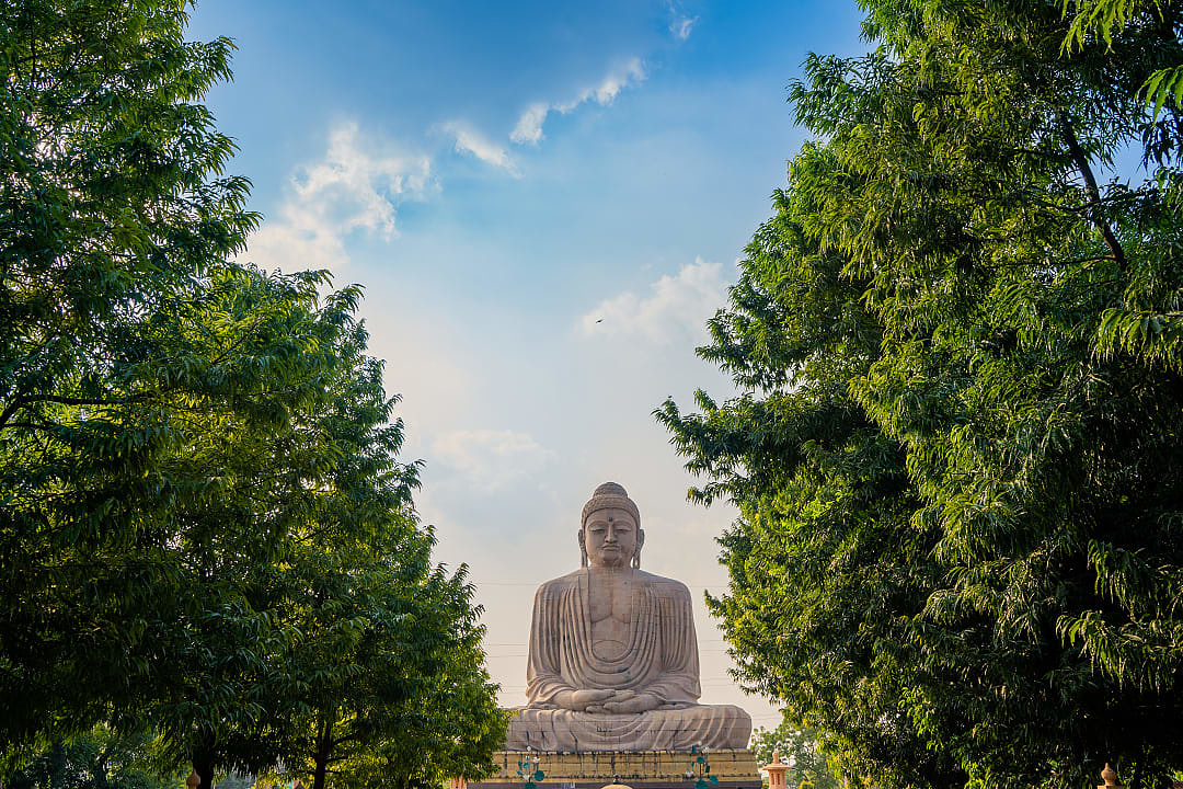 Massive seated Buddha statue surrounded by trees under peaceful sky.