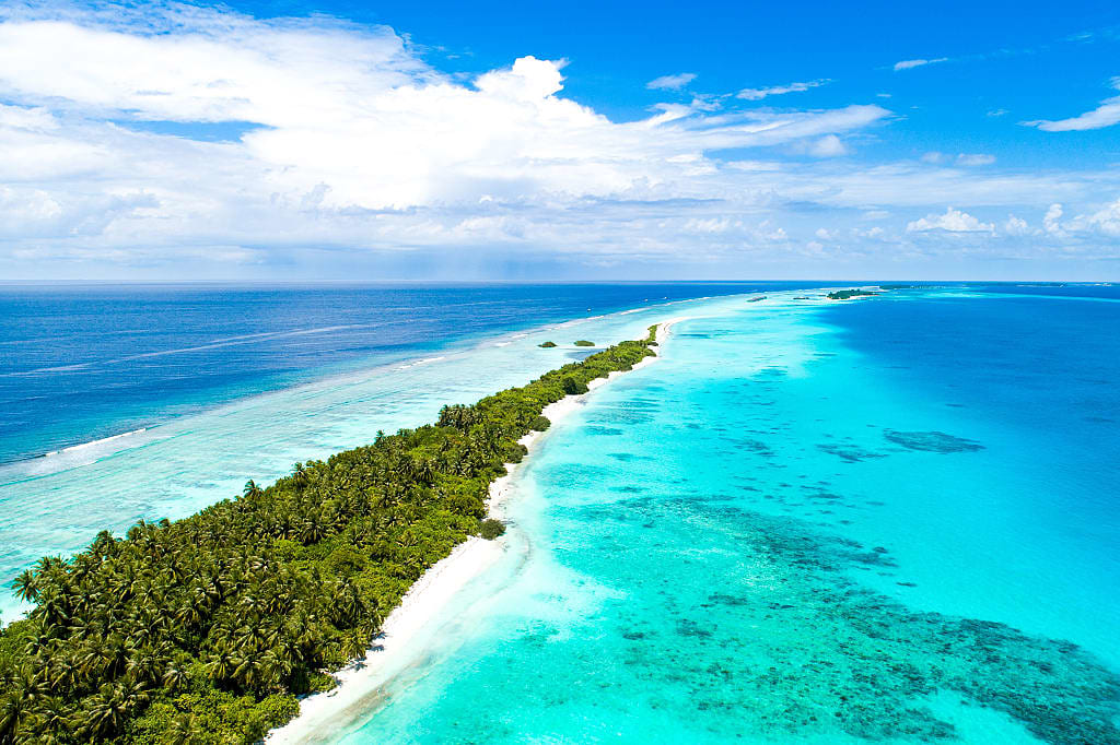 Long stretch of beach and tropical trees in the Maldives