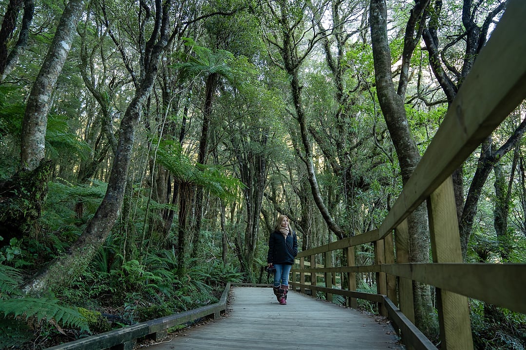 Fiordland National Park, New Zealand