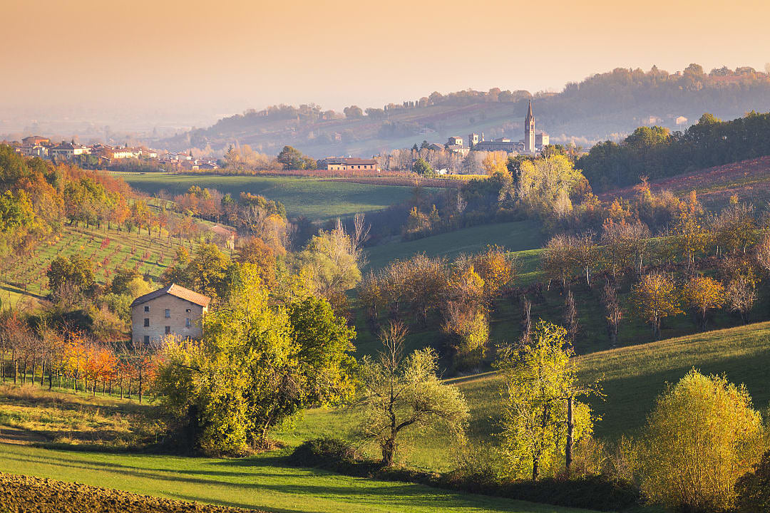 Rolling hills and vineyards in autumn light near a village in Emilia-Romagna, northern Italy