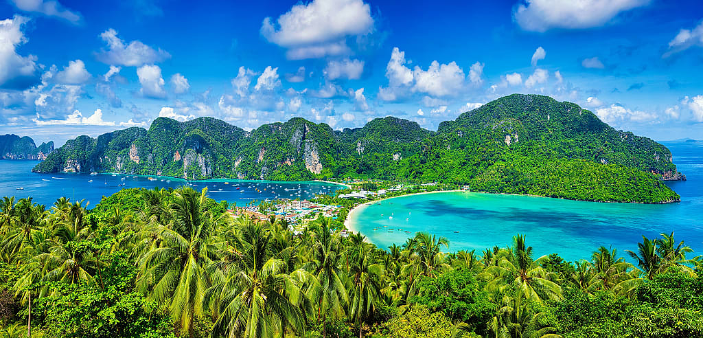 Vista with lush trees and view of Phi Phi Island