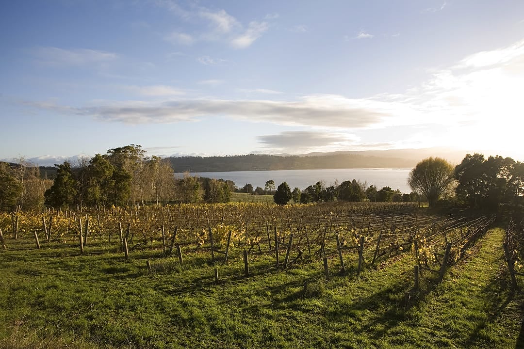 Tamar Valley at sunrise, known for producing fine wines.