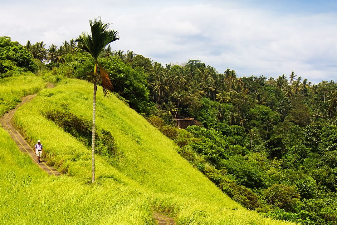 Beautiful landscape and person hiking in Fiji