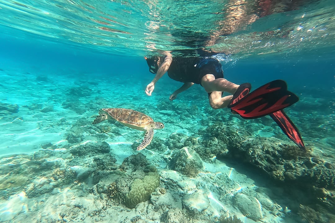 Snorkeler swimming alongside sea turtle over coral reef in Indonesia