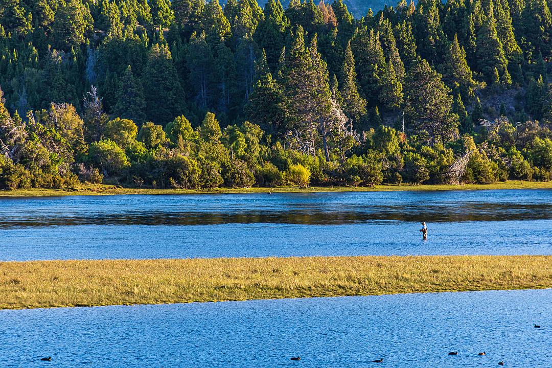 A lone angler fly fishes in a serene, forested Patagonian lake.