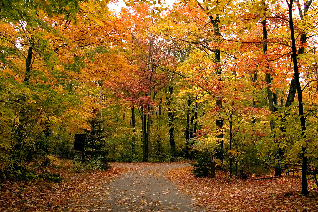 Killarney Park in Ontario, Canada