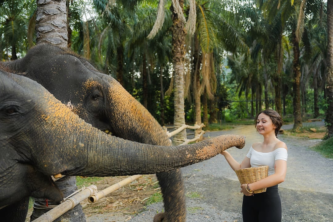 Woman feeding elephant at sanctuary surrounded by lush Thai forest.