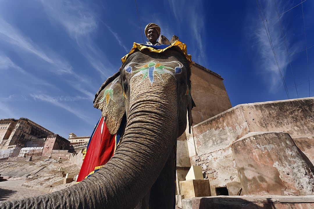 Painted elephant and rider outside historic fort under blue sky