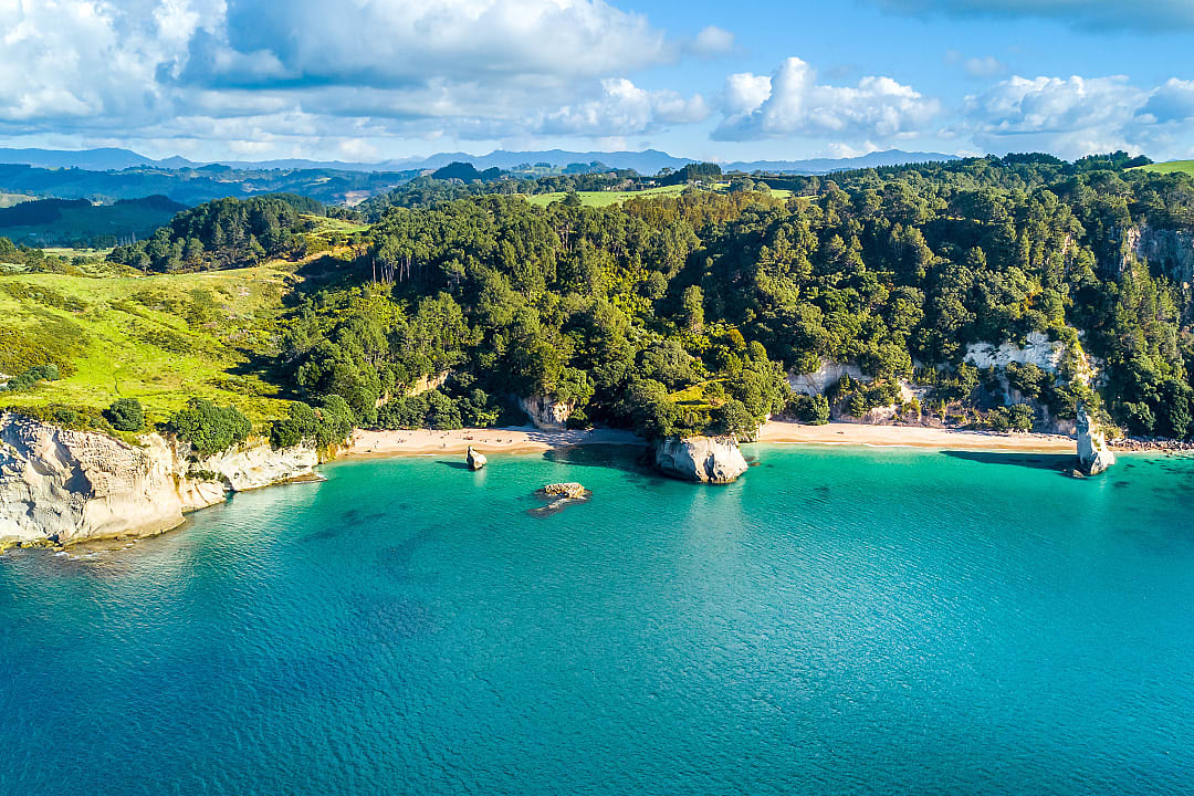 Beach in Coromandel, New Zealand