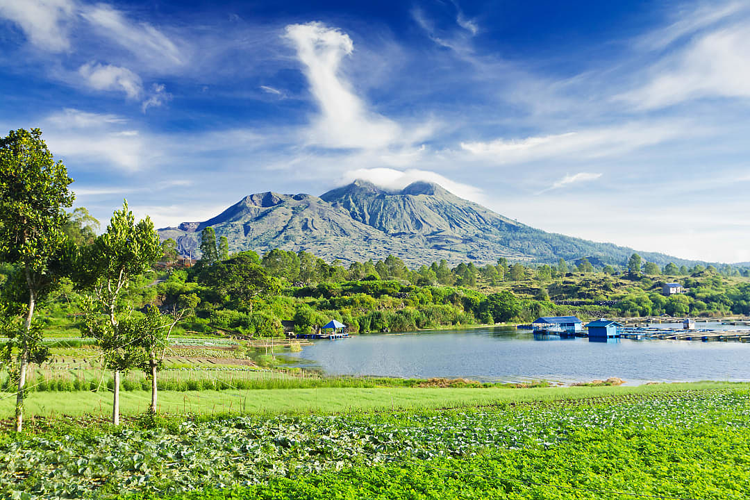 Lush farmland and lake below Mount Batur under blue sky.